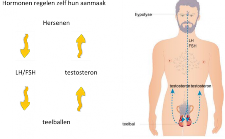 bijwerkingen van steroïden